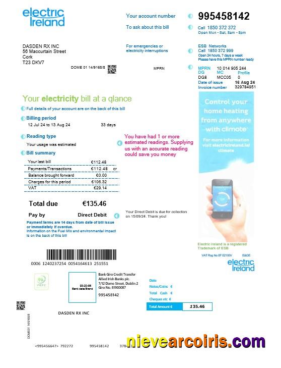 IRELAND ELECTRIC IRELAND business utility bill